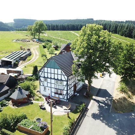 Vila Ortmanns Eulennest Finnentrop Exteriér fotografie