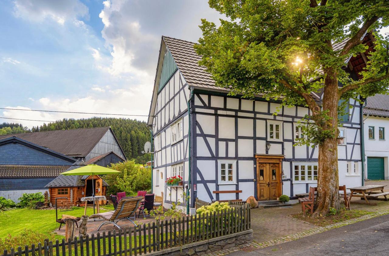 Vila Ortmanns Eulennest Finnentrop Exteriér fotografie