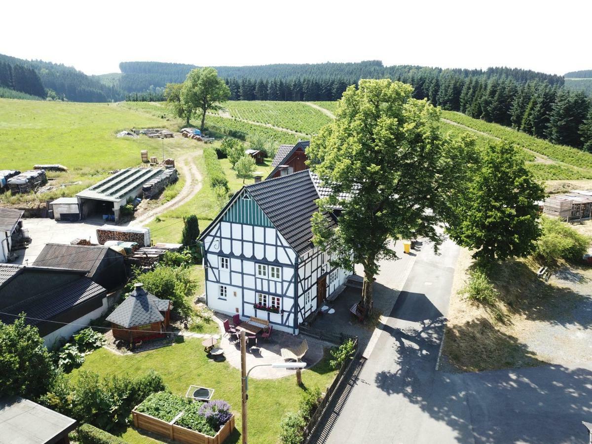 Vila Ortmanns Eulennest Finnentrop Exteriér fotografie